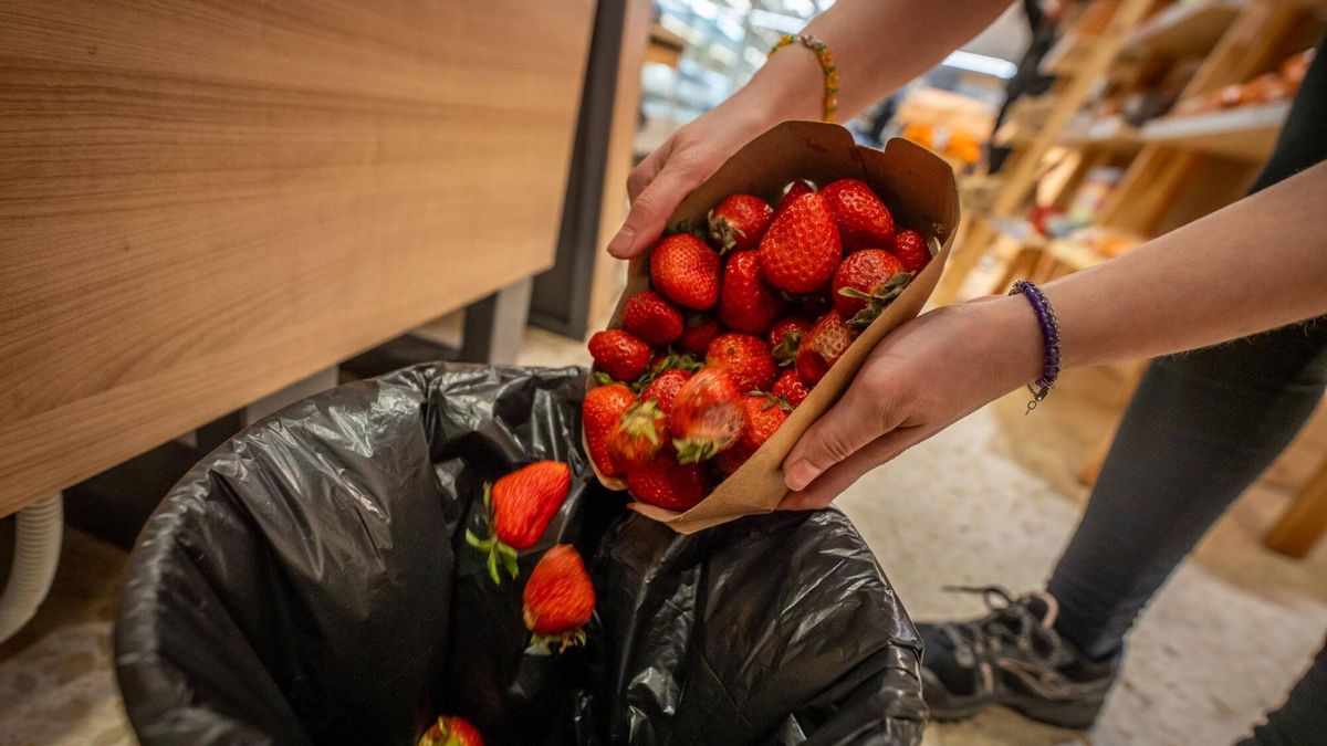 Una mujer tira a la basura unas fresas estropeadas.