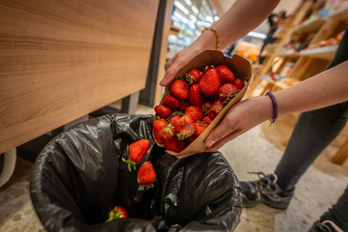 El malbaratament alimentari es redueix un 4,4% a Espanya, malgrat que cada persona encara llença a l’any 24 quilos de menjar a les escombraries El malbaratament alimentari es redueix un 4,4% a Espanya, malgrat que cada persona encara llença a l’any 24 quilos de menjar a les escombraries