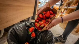 El malbaratament alimentari es redueix un 4,4% a Espanya, malgrat que cada persona encara llença a l’any 24 quilos de menjar a les escombraries