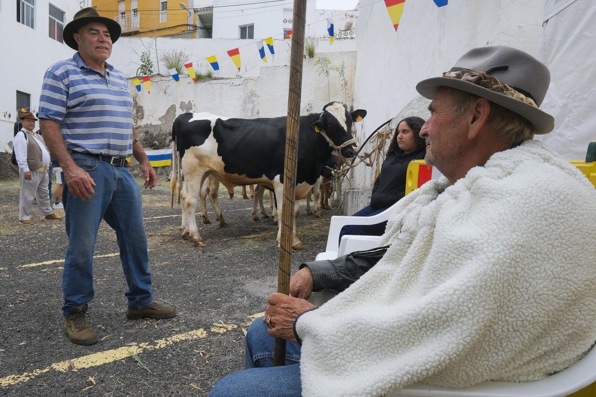 Feria El Sabor del Queso