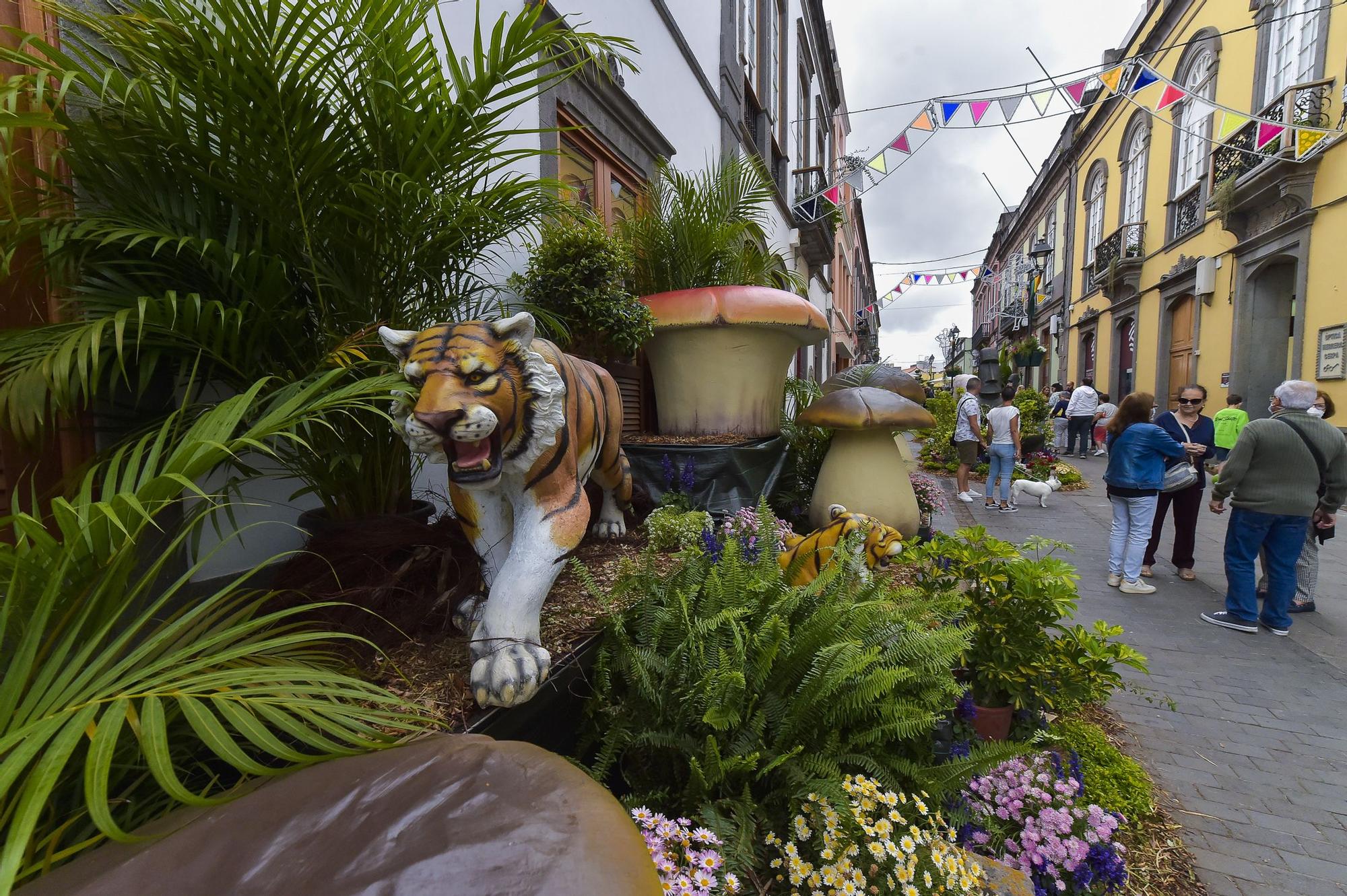 Arucas vive una semana dedicada a la música, la jardinería y la piedra de cantería