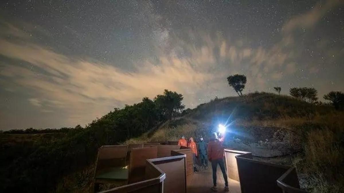 Una actividad de observación.