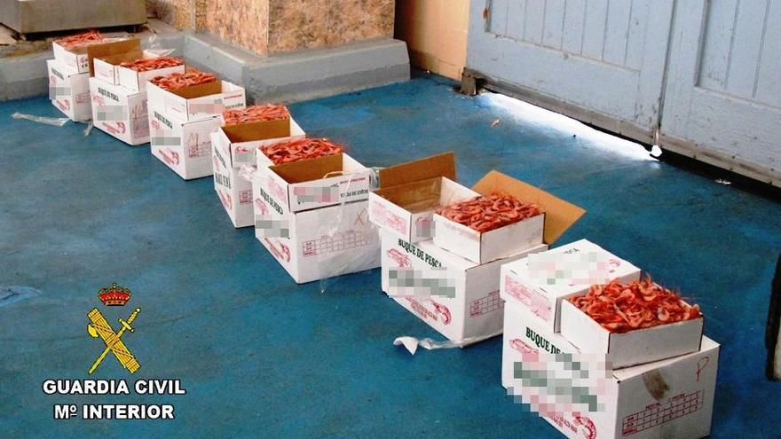 Intervienen más de 6.100 kilos de quisquilla en Vinaròs