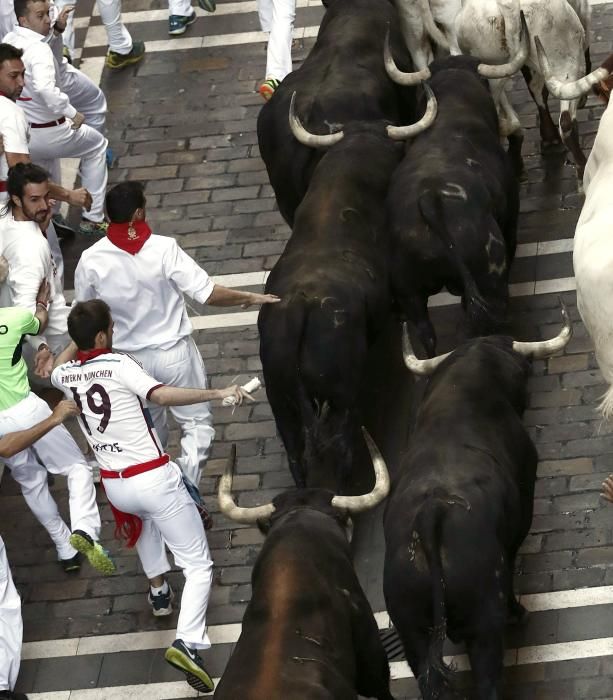 Los toros de Jandilla protagonizan el cuarto ...