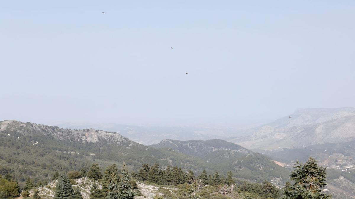 El presidente Sánchez visita la Sierra de las Nieves