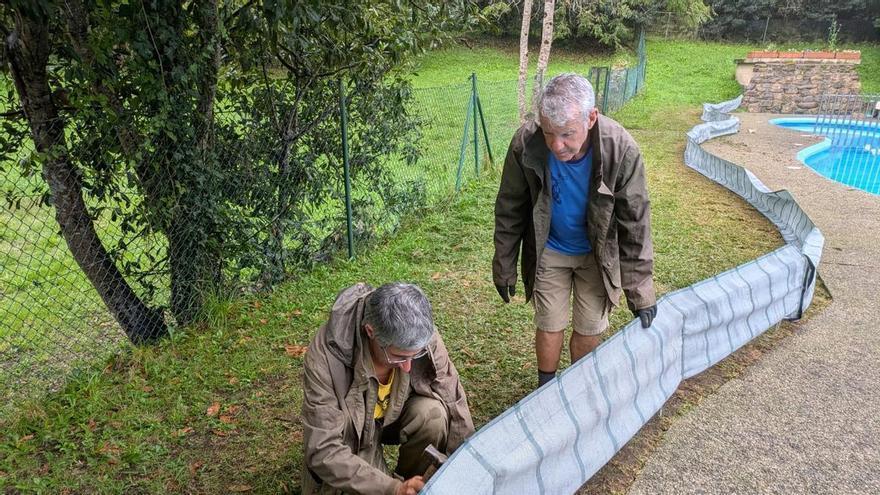 Illas y Mavea instalan una valla para proteger a los anfibios en la piscina de Sollovio