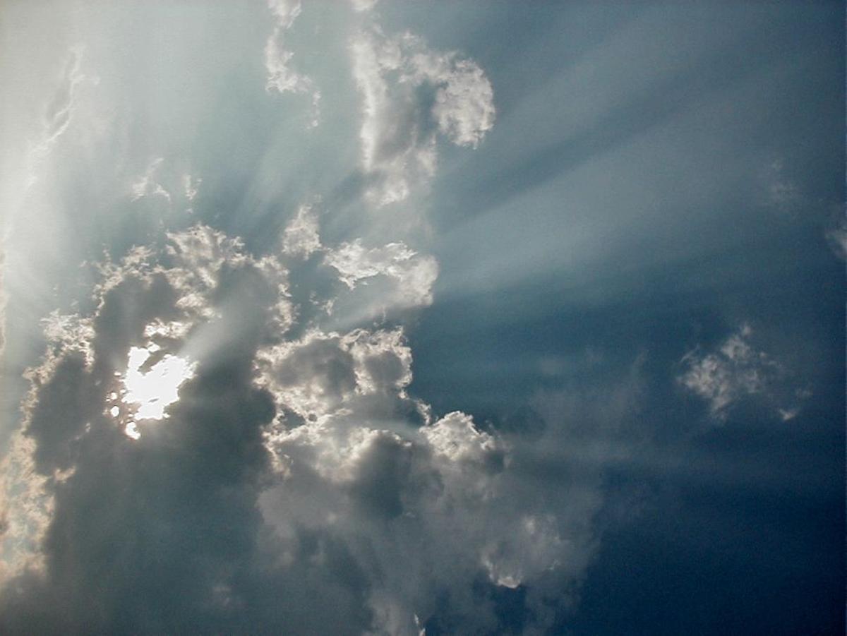 El aprovechamiento de la energía solar dio lugar a varios de los mayores cambios de la vida en la Tierra.