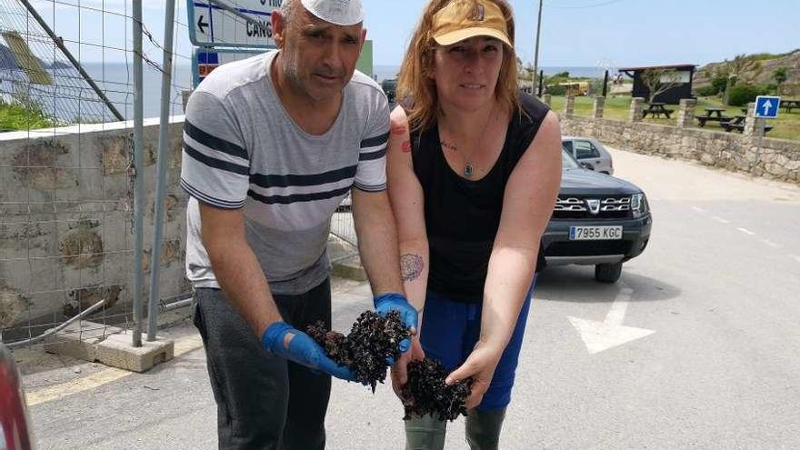 Dos bateeiros arousanos enseñan mejilla recién extraída en el litoral de Cangas, durante el conflicto con los percebeiros vivido en días pasados. Quieren demostrar que no lleva percebe adherido. // Santos Álvarez