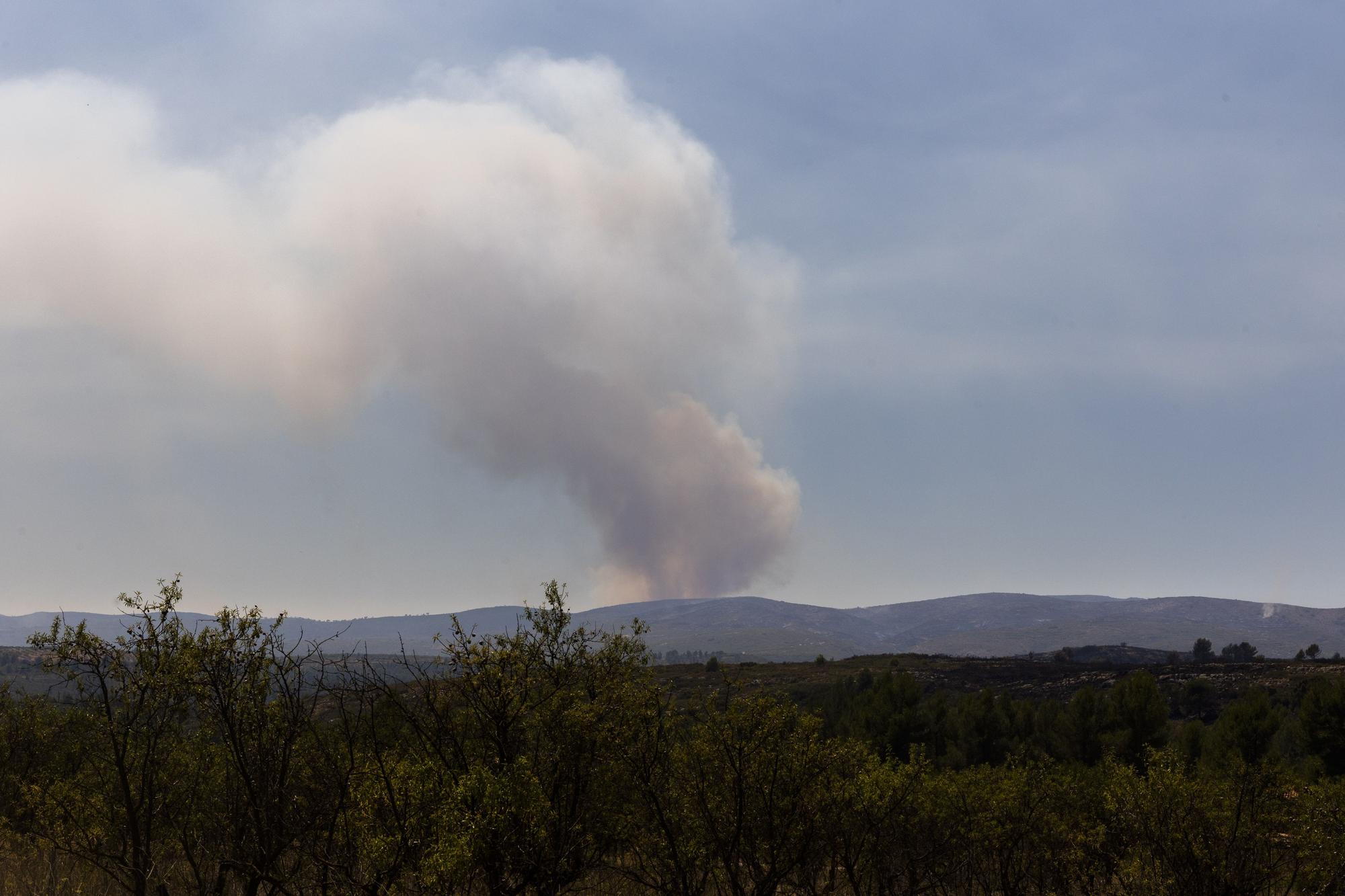 El incendio de Bejís, en imágenes