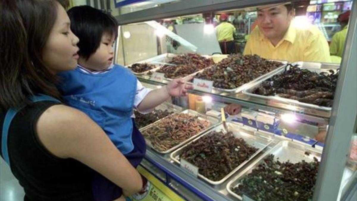 Un puesto de insectos en un mercado de Bangkok, en Tailandia.