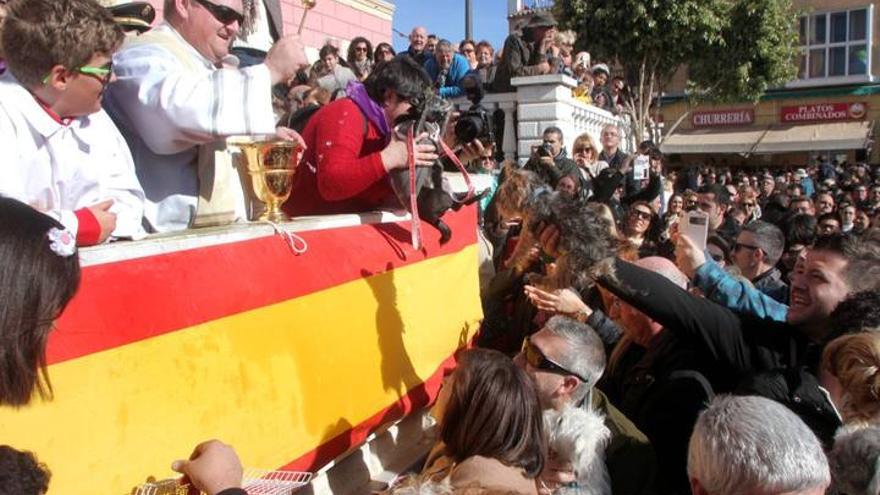 Bendición de animales por San Antón en Cartagena