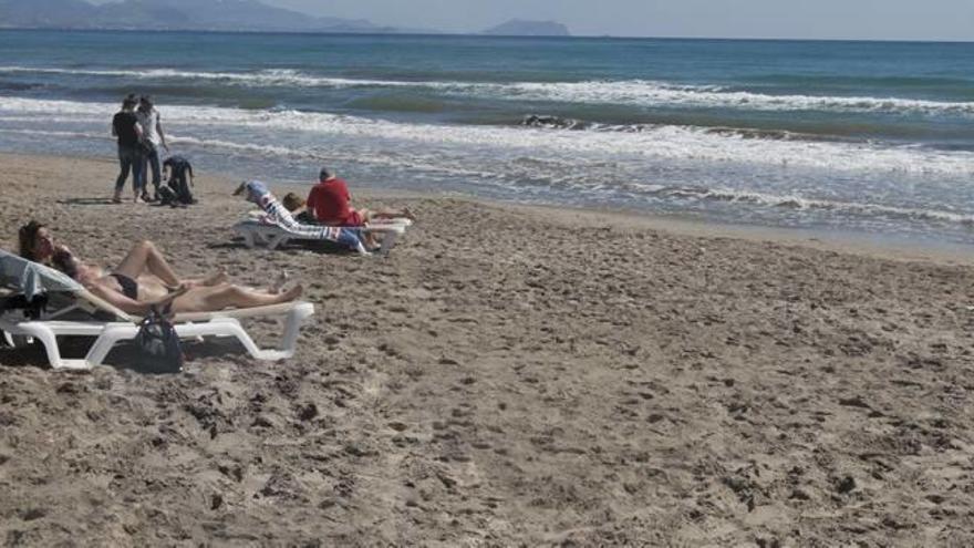 Limpieza y retirada de algas en las playas