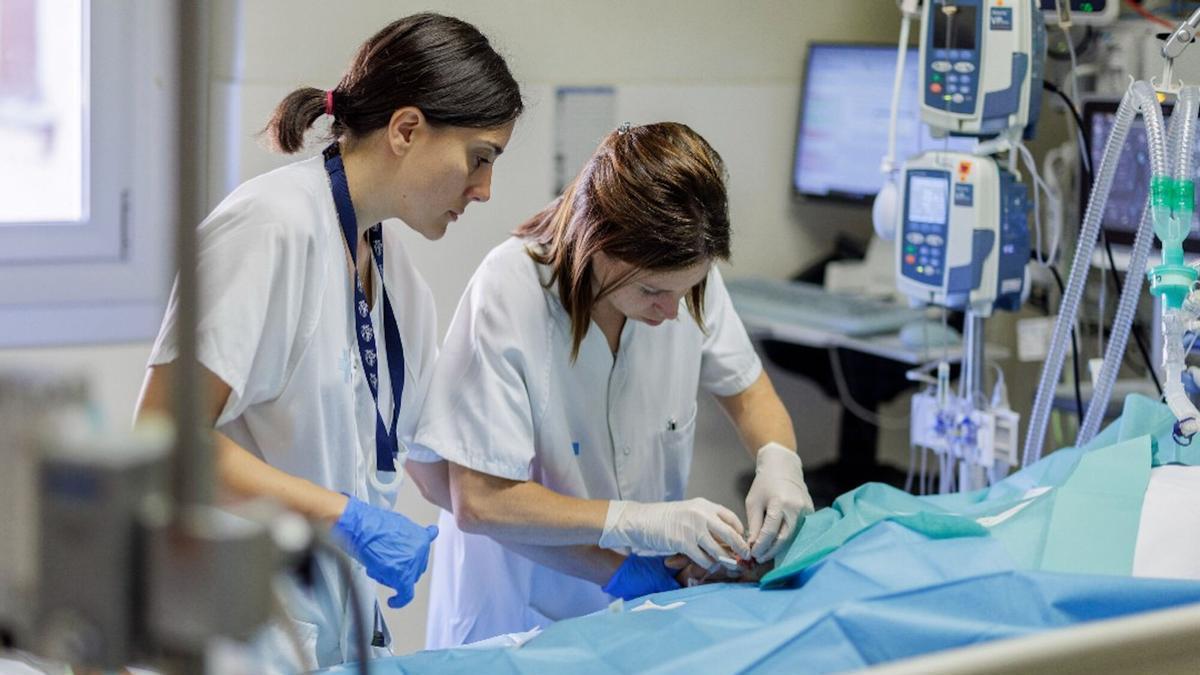 Dues professionals atenent un pacient a la Unitat de Crítics Cardíacs de l'Hospital Trueta
