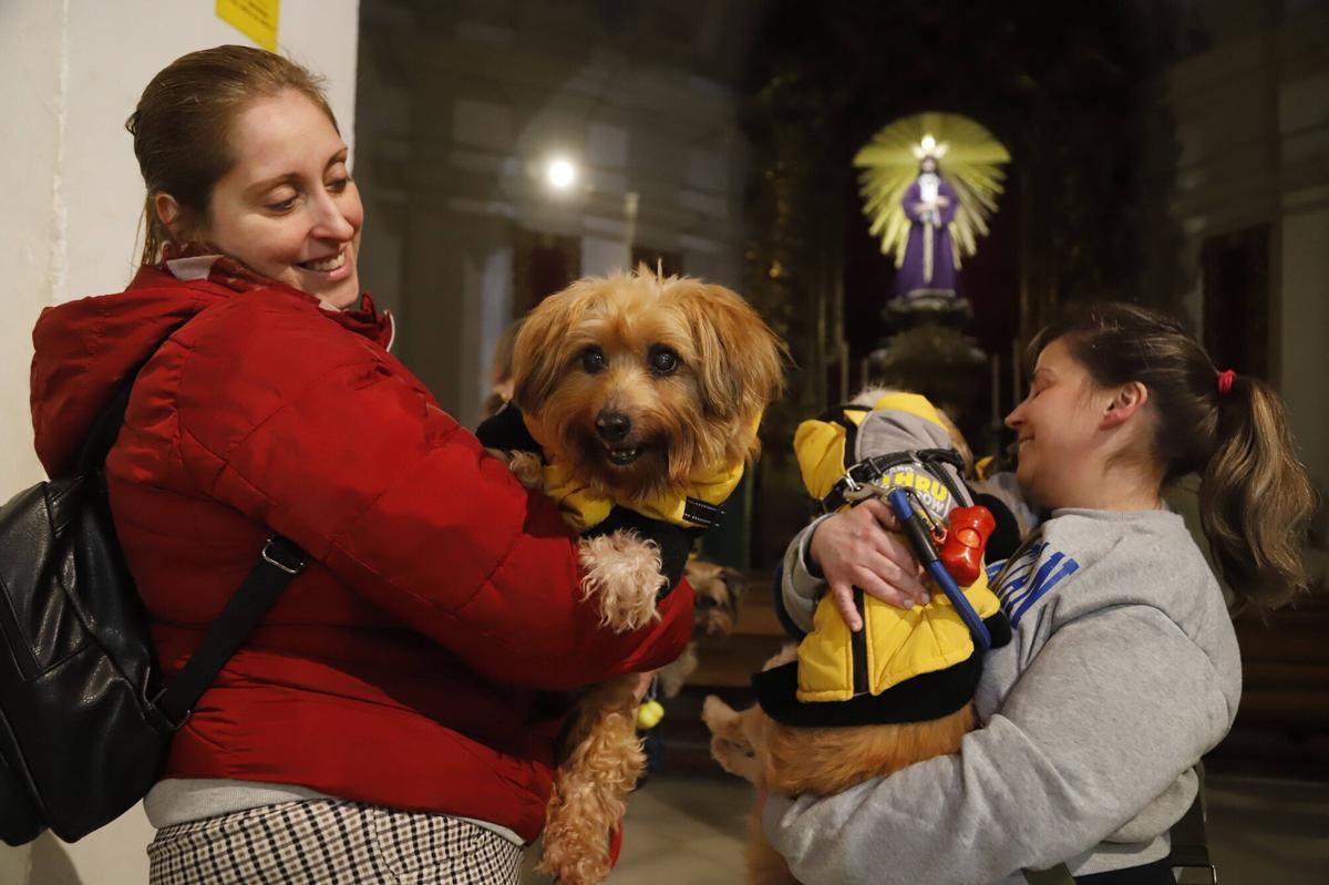 Bendición de mascotas por el día de San Antón en Córdoba