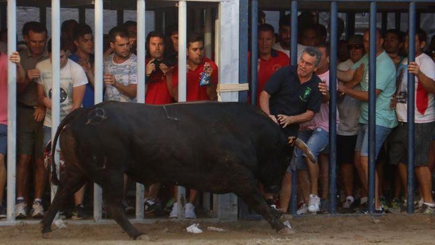 Tarde negra en Burriana con tres heridos por asta de toro, uno de ellos de gravedad