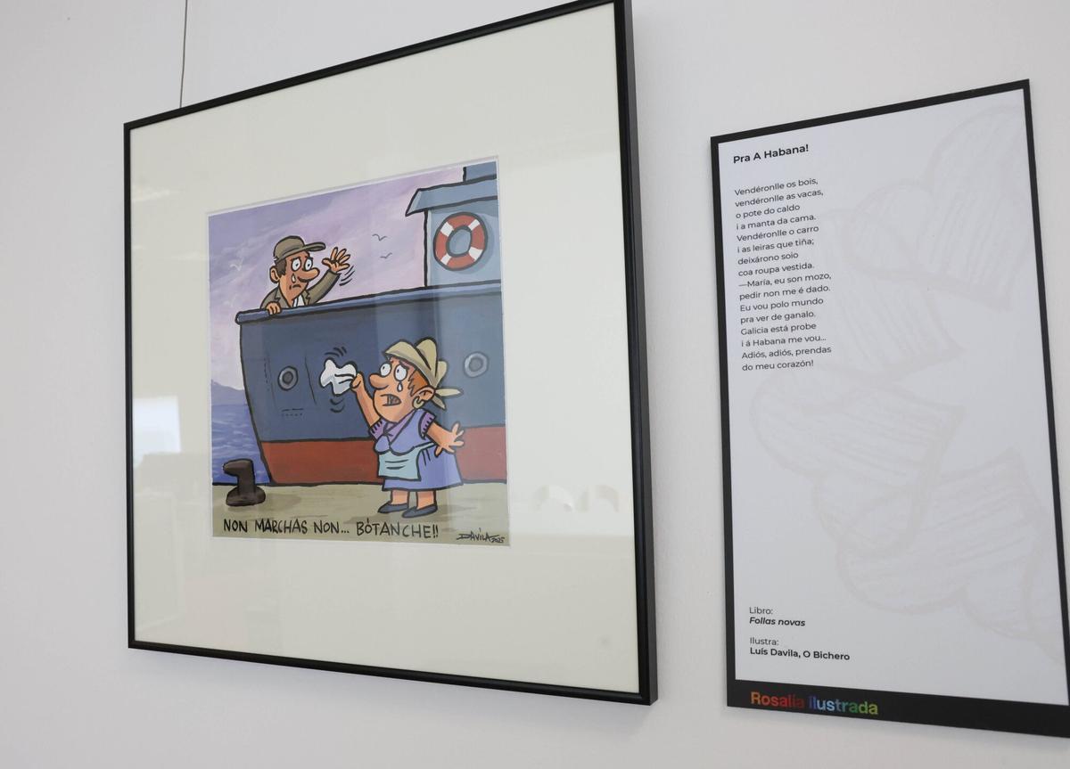 A Deputación leva a Vigo «Rosalía Ilustrada», unha exposición con 35 obras que reinterpretan a autora desde a arte gráfica