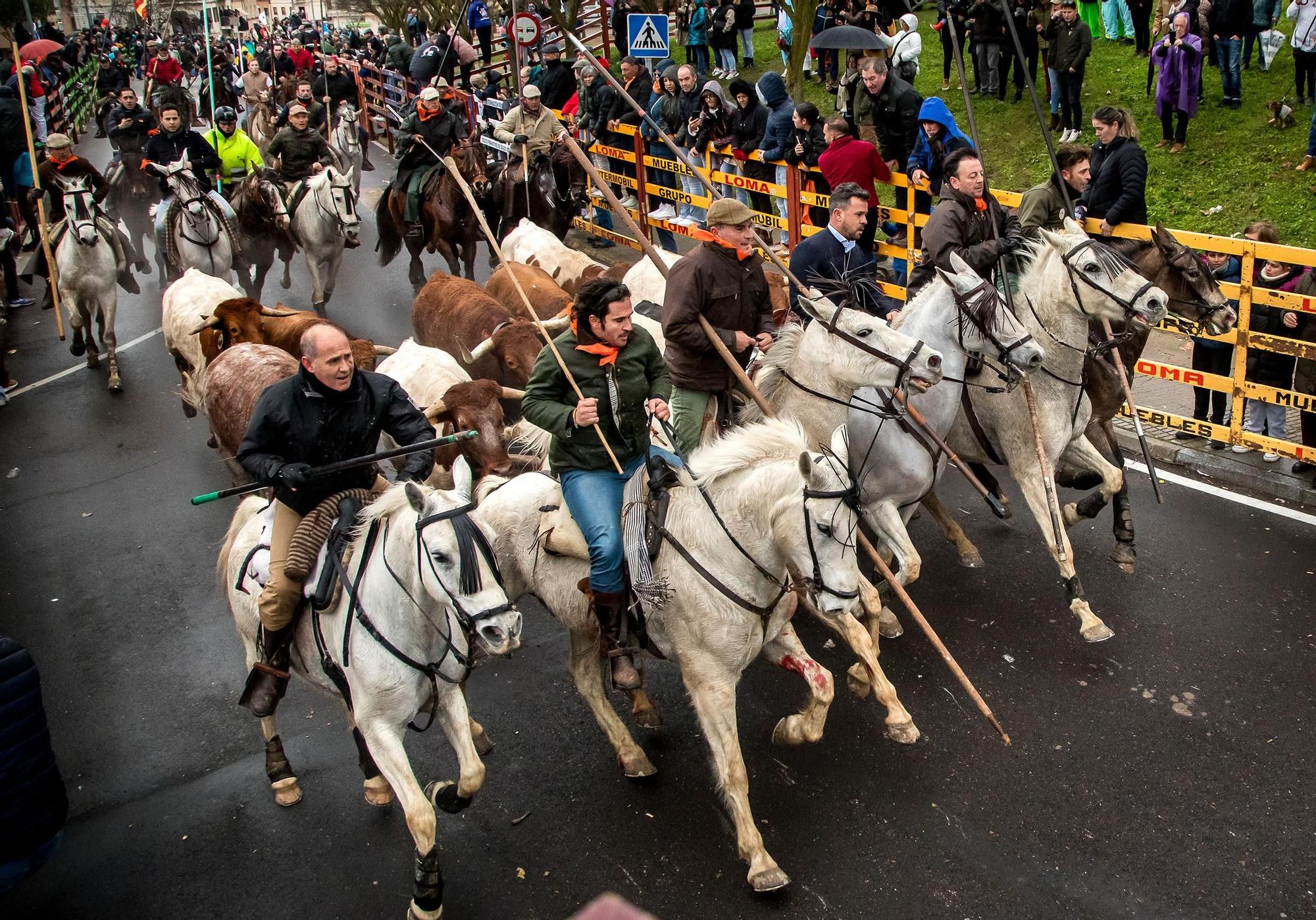 GALERÍA: El encierro a caballo del Carnaval del Toro, en imágenes