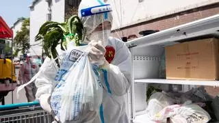 Metapneumovirus humano (HMPV): ¿es peligrosa esta enfermedad infecciosa que ha desatado la alarma en China?