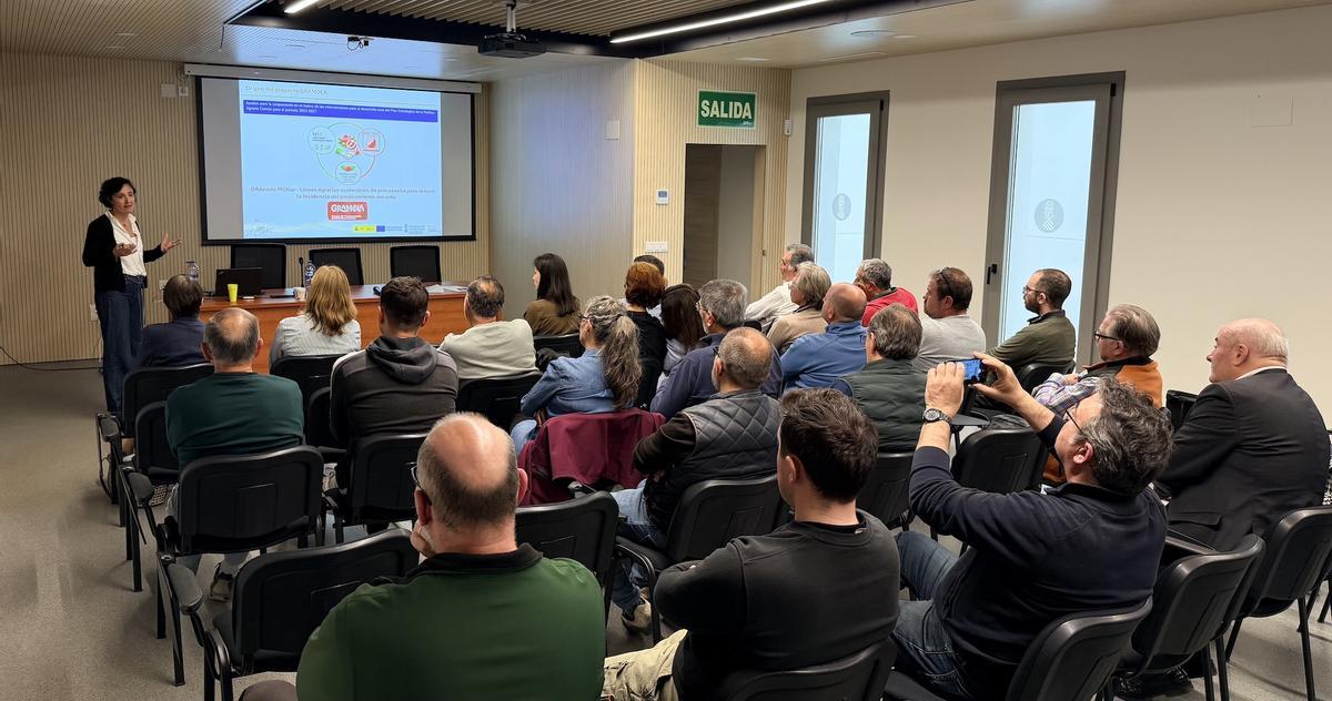 La investigadora de la Unidad de Agricultura Sostenible del IVIA, Belén Martínez Alcántara, explicaba en la presentación del proyecto que esta iniciativa surge tras detectar cambios en el comportamiento del fruto en los últimos años