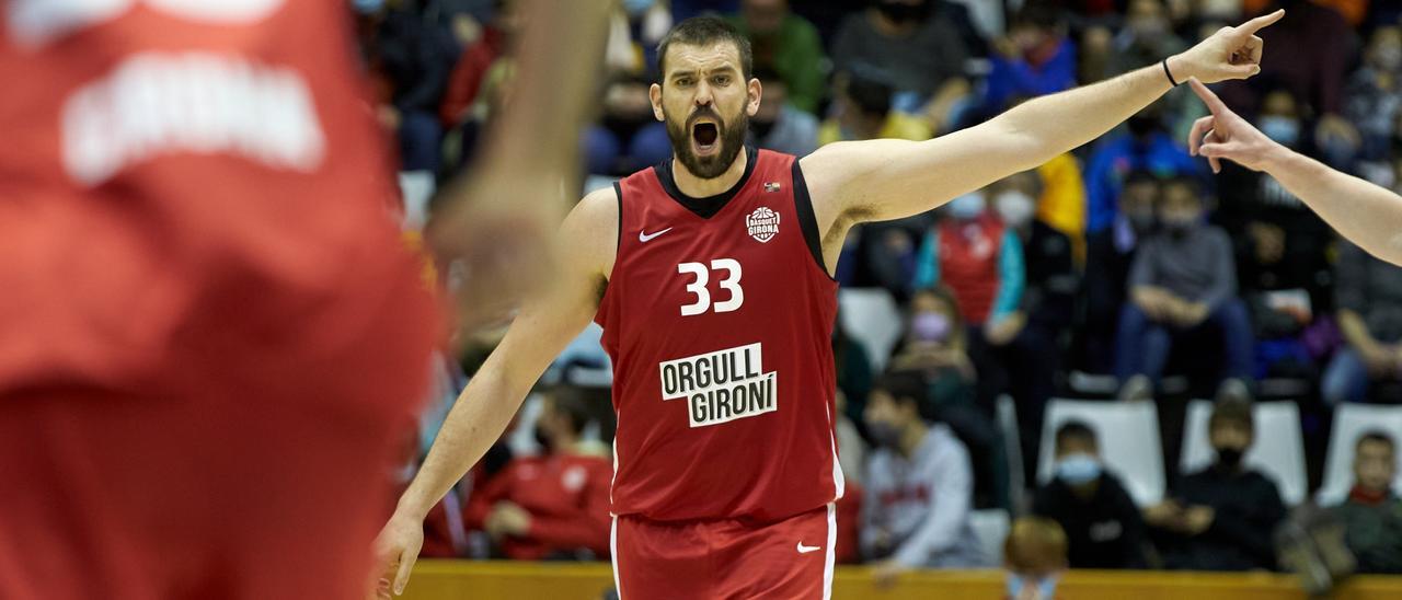 Marc Gasol