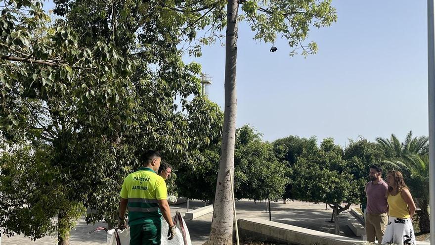 Las Palmas de Gran Canaria busca mejorar la imagen de la capital con intervenciones en barrios