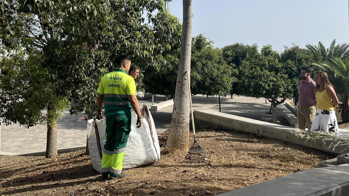 Limpieza y Parques y Jardines arrancan en Lomo Blanco la séptima fase de actuaciones conjuntas