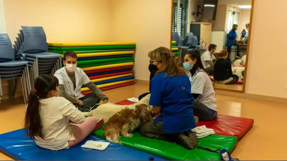Así es cómo ayudan los perros de terapia a los pacientes con problemas de salud mental