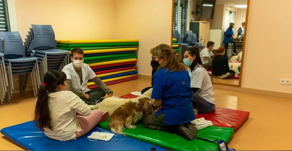 Así es cómo ayudan los perros de terapia a los pacientes con problemas de salud mental