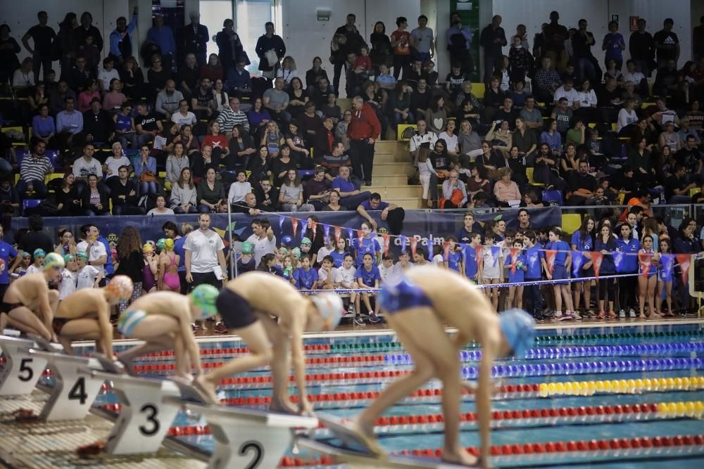 Trofeo Sant Sebastià de natación