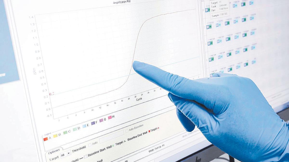 Un profesional sanitario comprueba unos datos médicos en el ordenador, en una imagen de archivo.