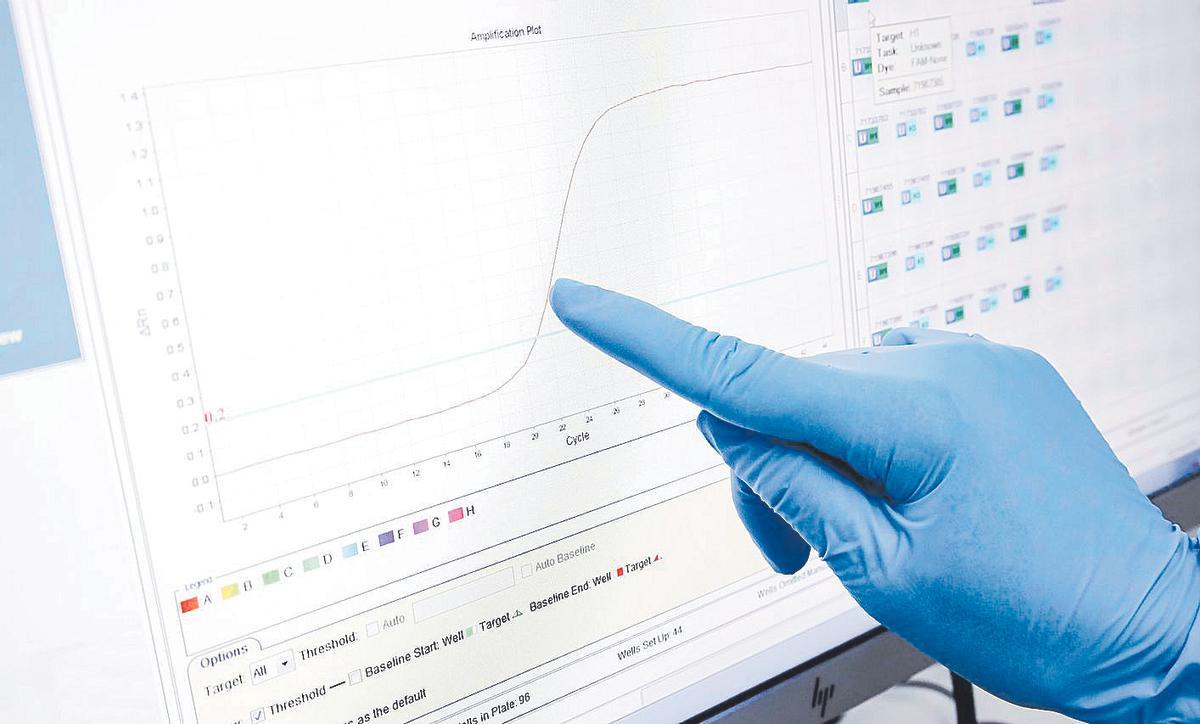 Un profesional sanitario comprueba unos datos médicos en el ordenador, en una imagen de archivo.