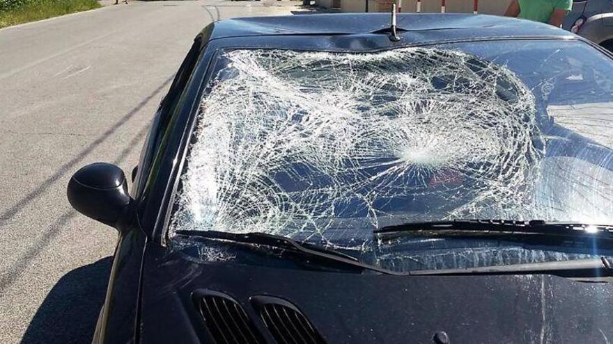 Un portátil suelto en el coche hace tanto daño como un oso en un choque a 90 km/h