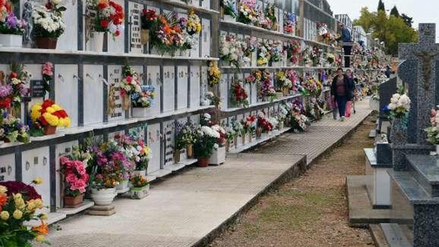 Nichos en el cementerio de Benavente.