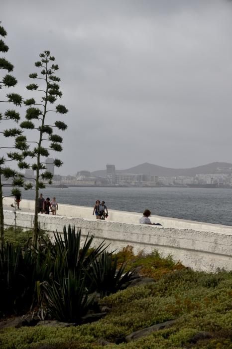 METEOROLOGIA. CALIMA MEZCLADA CON NUBES