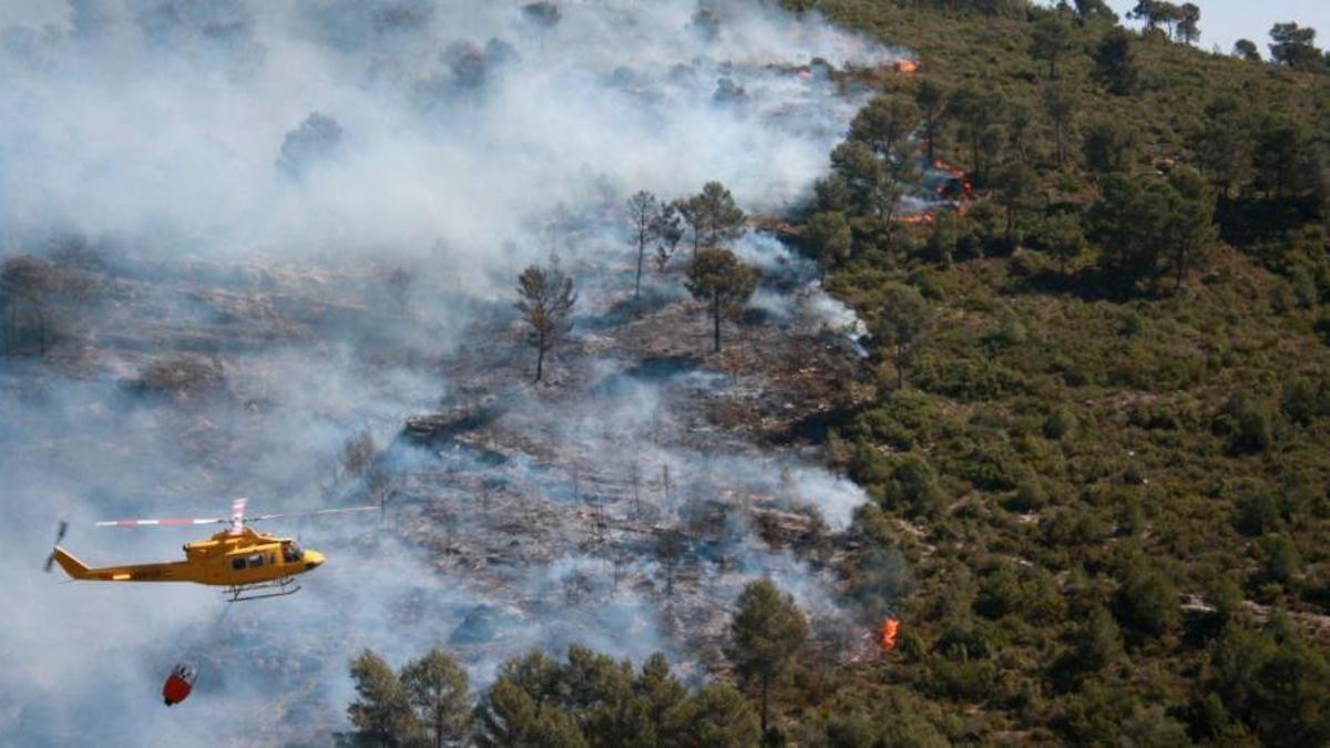 Medios aéreos actuando en un incendio en la campaña anterior