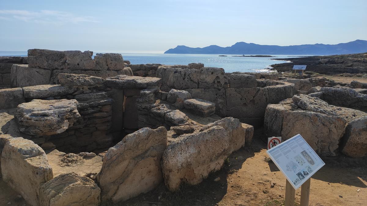 Aparecen los restos de un individuo adulto en una tumba inexplorada de Son Real