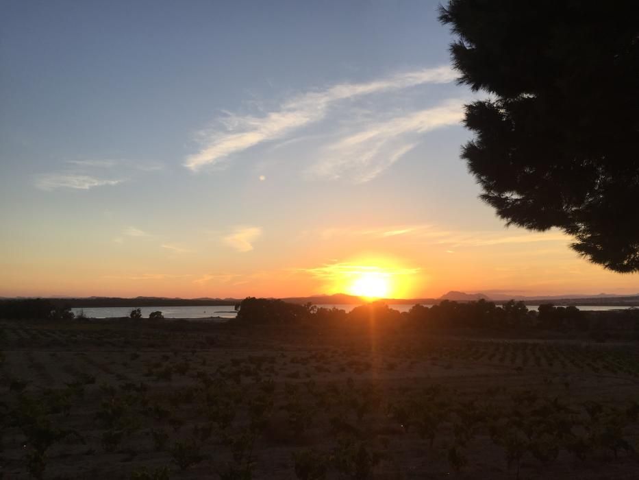 Ruta nocturna por el Parque Natural de Torrevieja