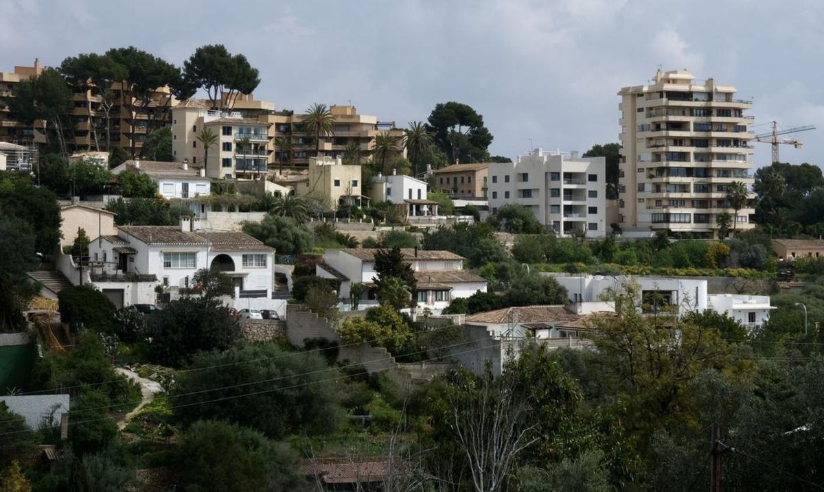 Imagen actual de la zona donde se proyectan los siete chalés. | MIGUEL VICENS