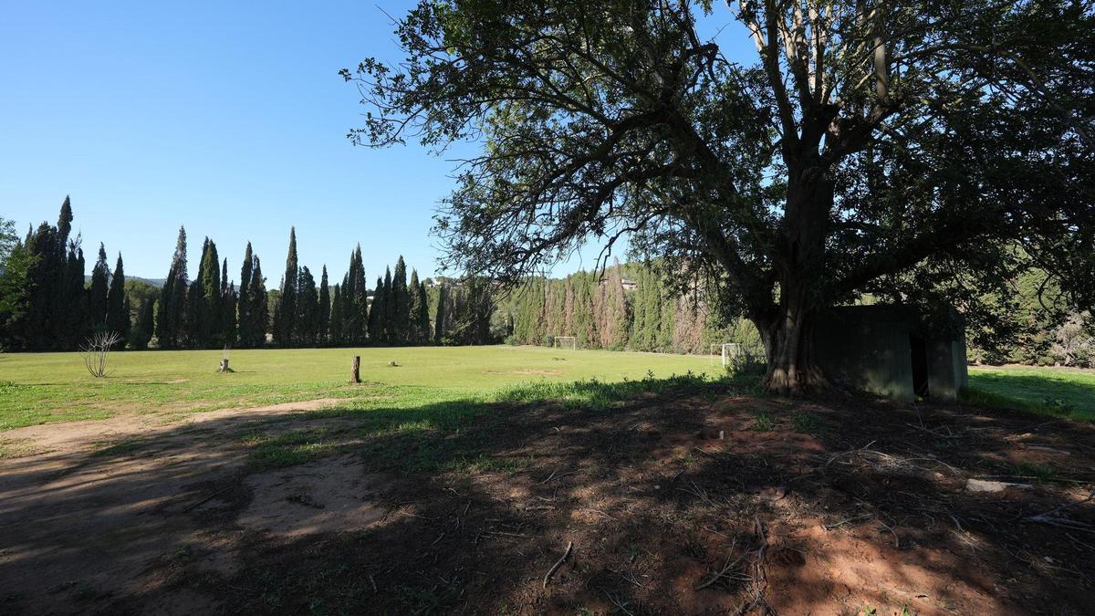 Terrenos del club en La Coma, donde se ubicará la ciudad deportiva.
