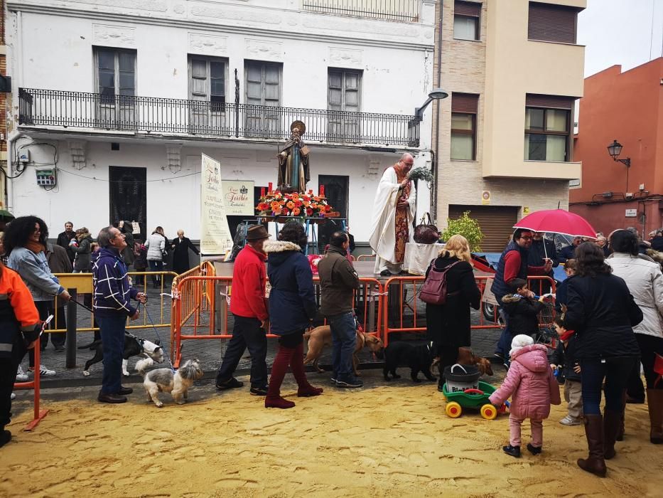 Bendición de animales en Xirivella.