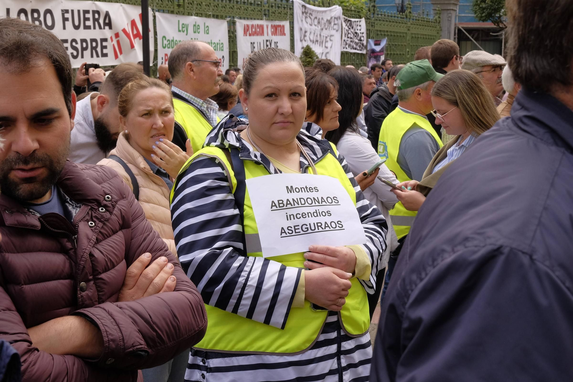 En imágenes: Así fue la manifestación del campo asturiano en Oviedo