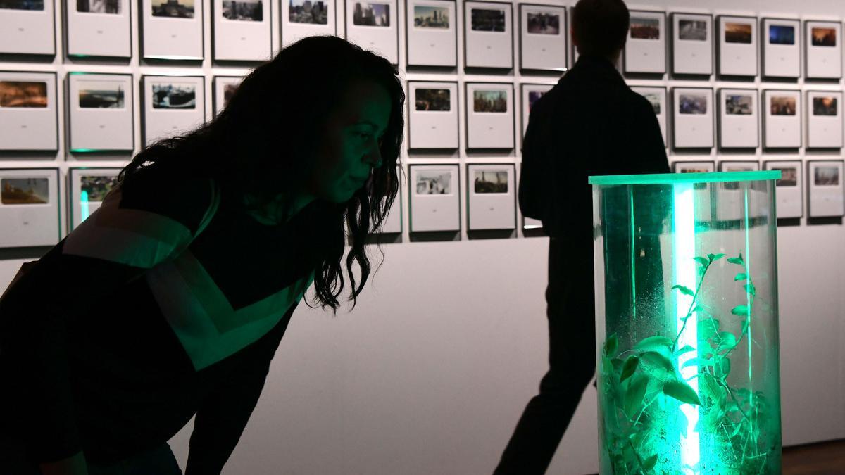 Exposición 'Ficcións especulativas' en Fonseca