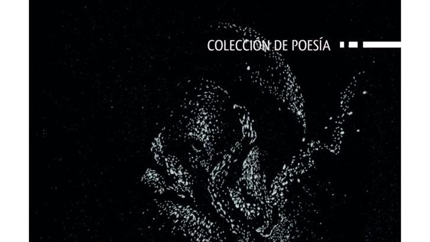 Pedro J. Plaza presenta «Matriz», Premio Valparaíso de Poesía