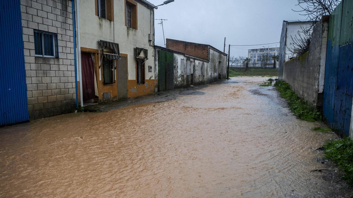 Fotogalería | La borrasca Marta anega las calles de la Charca Musia