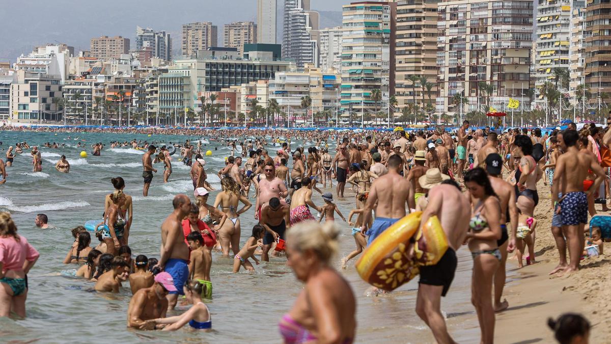 La playa de Levante de Benidorm llena de bañistas el pasado agosto