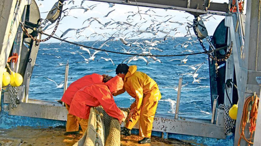 Los pescadores de zonas afectadas ya por sondeos sísmicos, como el Port de la Selva, en Girona, aseguran que las capturas se redujeron entre un 60 y un 95%.