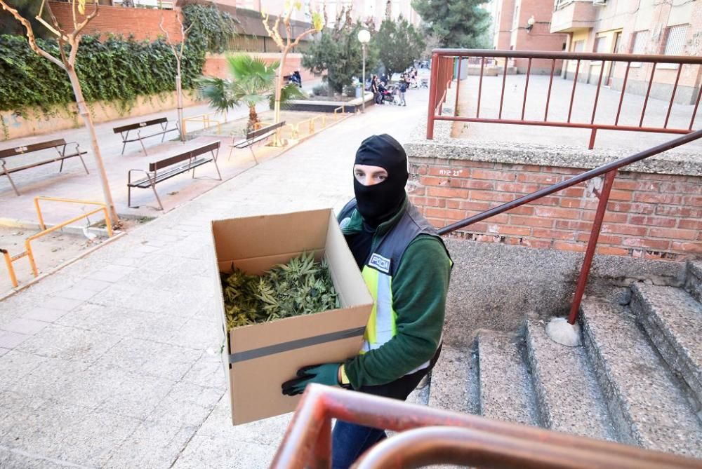 Hallan 300 plantas de marihuana en una casa del barrio del Infante de Murcia