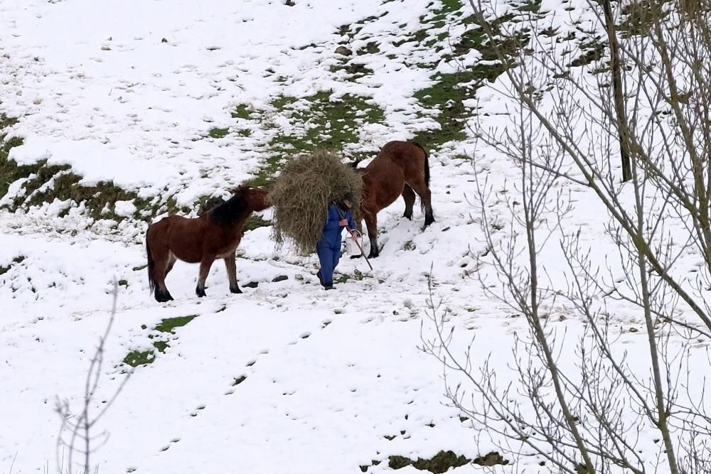 Las 40 fotos que te harán echar de menos el invierno (y la nieve) en Asturias