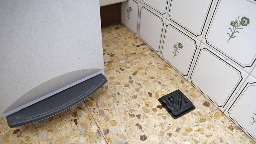 Veïns i comerciants de l’Eixample de Girona alerten d’una proliferació de paneroles