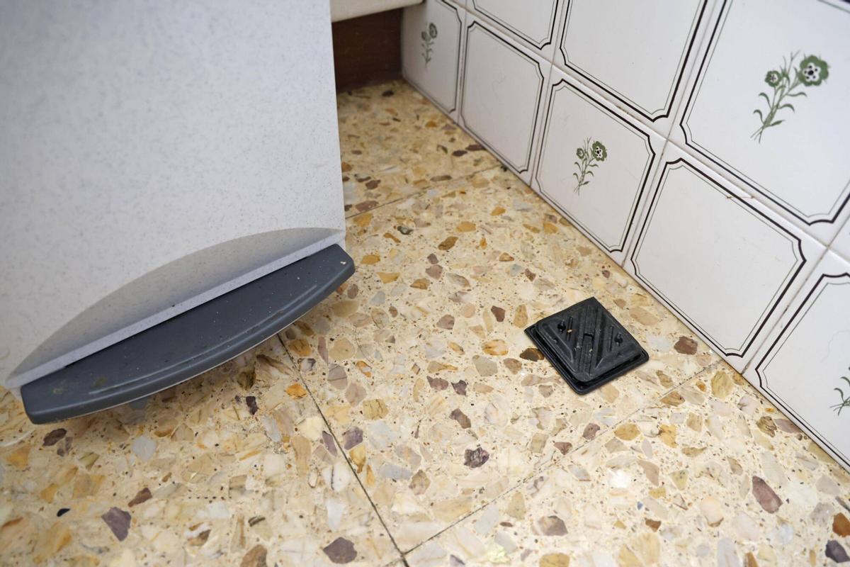 Les imatges de la plaga de Paneroles de l'eixample